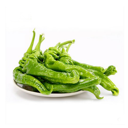 螺丝椒-挑选-价格-菜谱--广州天天生鲜蔬菜配送公司